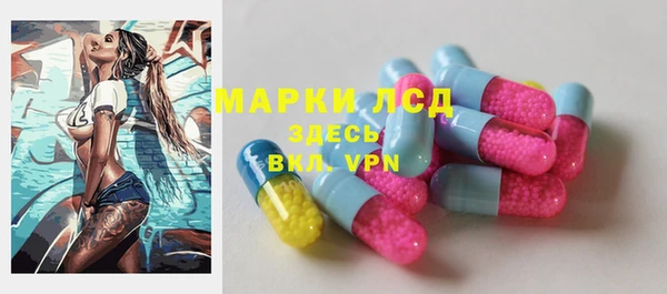 ПСИЛОЦИБИНОВЫЕ ГРИБЫ Карталы