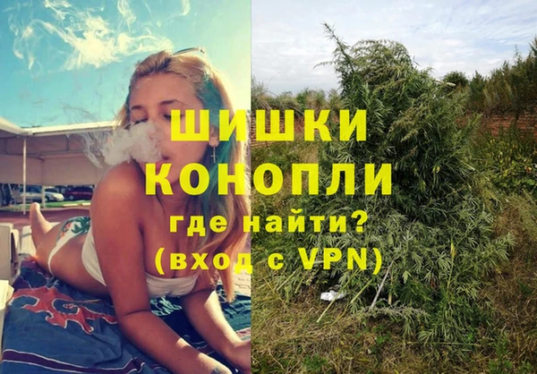 ПСИЛОЦИБИНОВЫЕ ГРИБЫ Карталы