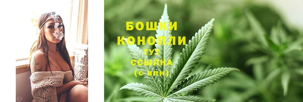 ПСИЛОЦИБИНОВЫЕ ГРИБЫ Карталы