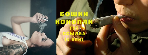 ПСИЛОЦИБИНОВЫЕ ГРИБЫ Карталы