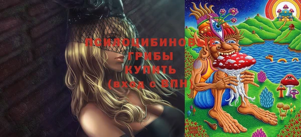 MDMA Карпинск
