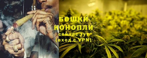ПСИЛОЦИБИНОВЫЕ ГРИБЫ Карталы